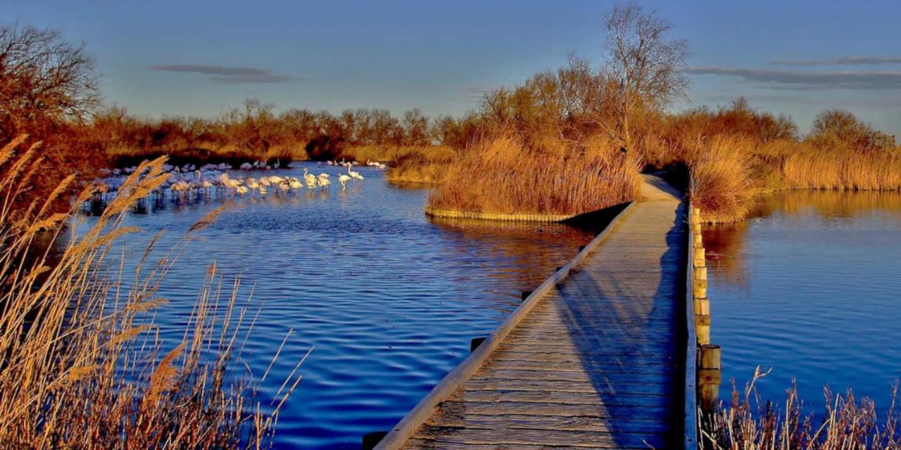 فيلا Joli Mazet Provencal De Camargue آرْلْ المظهر الخارجي الصورة